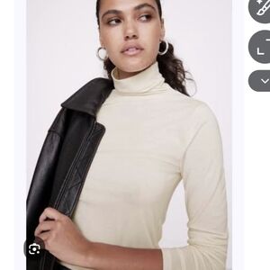 Banana Republic Luxe Wool-Blend Turtleneck T-Shirt